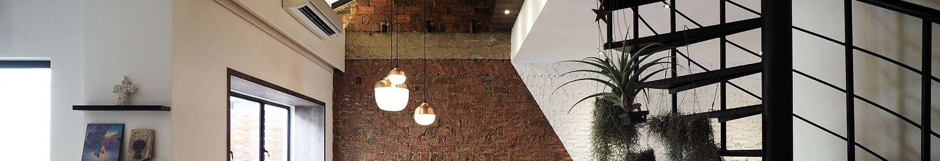 cover STUDIO SUPER SAFARI