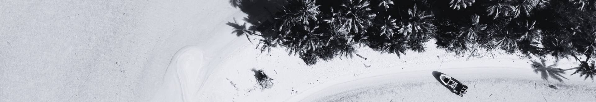 cover Olivier BLAISE - Cabinet LEVY Tahiti