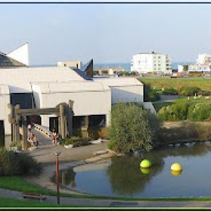 Avatar logo | Musées de Dunkerque | Dunkirk France | visite virtuelle 360 3D VR