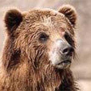 Avatar logo | Patrick Brethes | Saint-Pierre Reunion | 360 3D VR tours