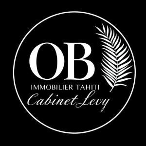 Avatar logo | Cabinet LEVY - Olivier BLAISE Conseiller Immobilier | Hitiaa O Te Ra French Polynesia | 360 3D VR tours