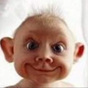 Avatar logo | Philippe Vernay | Saint-Raphaël France | 360 3D VR tours