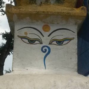 Avatar logo | Dave Pro | Saint-Pierre Réunion | Photographe visite virtuelle 360° 3D