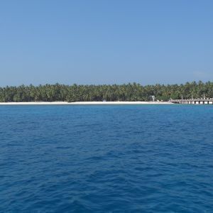 Avatar logo | Sandeep | Delhi India | 360 3D VR tours