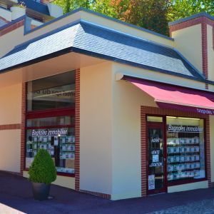 Avatar logo | Bagnoles Immobilier | Bagnoles de l'Orne Normandie France | 360° 3D virtual tour photographer