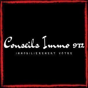 Avatar logo | Conseils Immo 972 | Le Lamentin Martinique | Photographe visite virtuelle 360° 3D