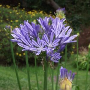 Avatar logo | Rabelle | Orsans France | visite virtuelle 360 3D VR