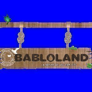 Avatar logo | Babloland La Nature De Vos Exploits | 360° 3D virtual tour photographer