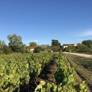 Avatar logo | Anne mullins cazenave | Arveyres France | 360 3D VR tours