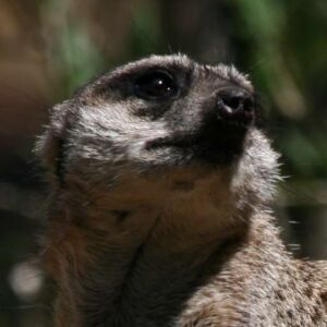 Avatar logo | no name | La Bourboule France | 360 3D VR tours