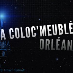 Avatar logo | Lionel Andrade | Orléans France | 360 3D VR tours