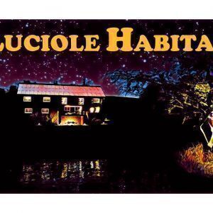 Avatar logo | Boisseau | Arleuf France | visite virtuelle 360 3D VR