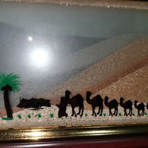 Avatar logo | Marius Meijer | Panama Panama | 360 3D VR tours