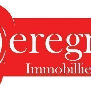 Avatar logo | Joël RAGOT | Serris France | 360 3D VR tours