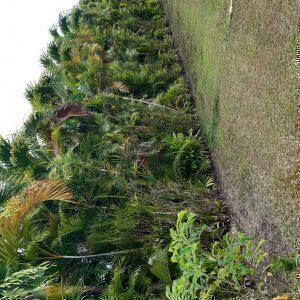 Avatar logo | Anthelme Constantin | Baie Mahault Guadeloupe | visite virtuelle 360 3D VR