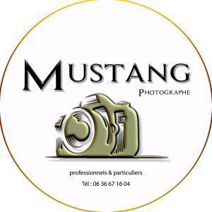 Avatar logo | Mustang Photographe | Béthune France | 360 3D VR tours