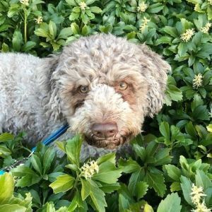 Avatar logo | Enzo De Luca | St. Gallen Switzerland | 360 3D VR tours