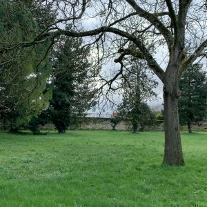 Avatar logo | Xavier Rochereau | Saumur France | Photographe visite virtuelle 360° 3D