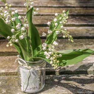 Avatar logo | BEAUDIN | Brie-Comte-Robert France | 360 3D VR tours