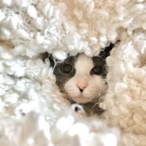 Avatar logo | Степан Бондаренко | Ottawa Canada | 360 3D VR tours