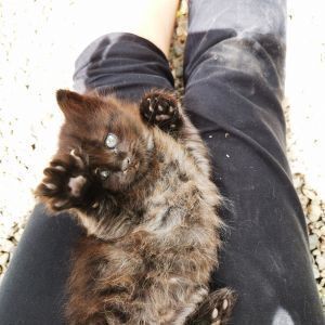 Avatar logo | Lucille Dorie | Toulouse France | 360 3D VR tours