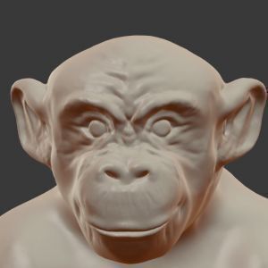 Avatar logo | Carmelo Arena | Tournai Belgium | 360 3D VR tours