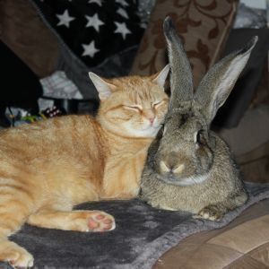 Avatar logo | Yoann Hublau | Saint-André-les-Alpes France | 360 3D VR tours