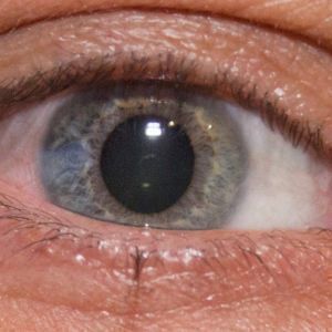 Avatar logo | Giovanni Darienzo | Rio de Janeiro Brazil | 360 3D VR tours