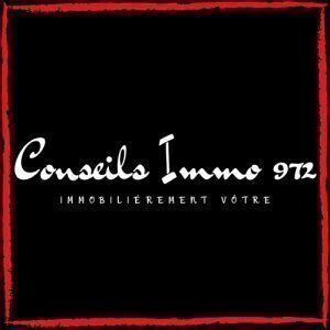 Avatar logo | Conseils Immo 972 | Le Lamentin Martinique | 360 3D VR tours