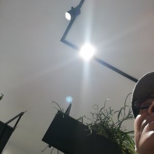 Avatar logo | Immobilier paris | Paris France | 360 3D VR tours