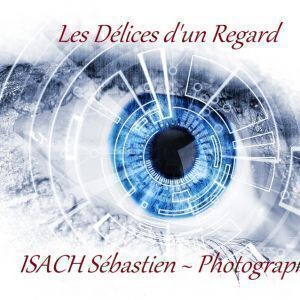 Avatar logo | Sébastien ISACH | Tourcoing France | 360 3D VR tours