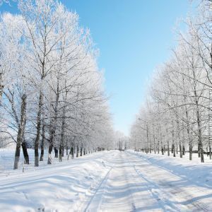 Avatar logo | Jayesh Paunikar | Surat India | 360 3D VR tours