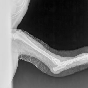 Avatar logo | jean Davy | Roquefort-les-Pins France | 360 3D VR tours