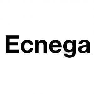 Avatar logo | Agence Ecnega | Vitry-sur-Seine France | Photographe visite virtuelle 360° 3D