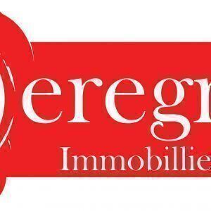 Avatar logo | Joël RAGOT | Serris France | 360 3D VR tours