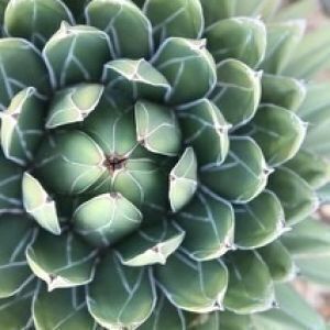 Avatar logo | AI | Luxembourg Luxembourg | 360° 3D virtual tour photographer