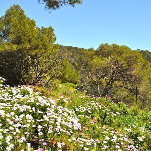 Avatar logo | delphine sion | Paris France | 360 3D VR tours