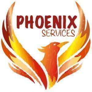 Avatar logo | PHOENIX SERVICES | Ozoir-la-Ferrière France | visite virtuelle 360 3D VR
