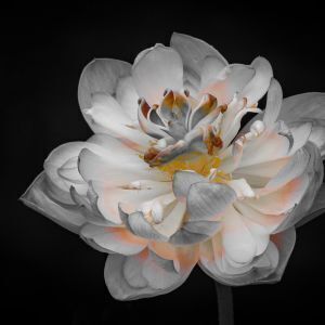 Avatar logo | Eugenie | Montreal Canada | 360 3D VR tours