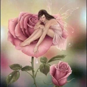 Avatar logo | Maya Labelle | Laon France | visite virtuelle 360 3D VR