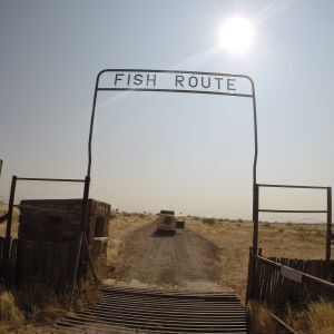 Avatar logo | David Schmets | Plombières Belgique | visite virtuelle 360 3D VR