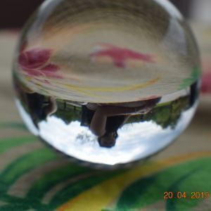 Avatar logo | Mario Ventura | Limoges France | visite virtuelle 360 3D VR