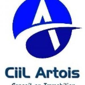 Avatar logo | Ets CiilArtois | Lille France | Photographe visite virtuelle 360° 3D