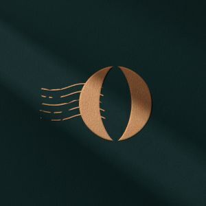 Avatar logo | Tiphaine Panchou | Bordeaux France | Photographe visite virtuelle 360° 3D