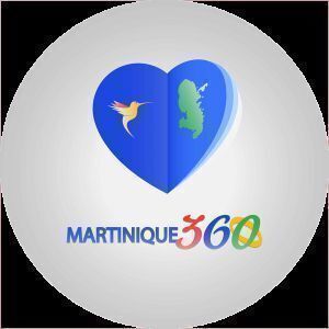 Avatar logo | MR JIMMY HELLENIS | Gros-Morne Martinique | 360 3D VR tours