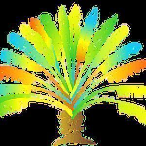 Avatar logo | Vanessa Bartoli | Grand Baie Maurice | visite virtuelle 360 3D VR