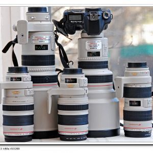 Avatar logo | devilgorgor.com魔鬼哥哥 | Cary États-Unis | visite virtuelle 360 3D VR