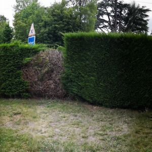 Avatar logo | Pierre | Francescas France | 360 3D VR tours