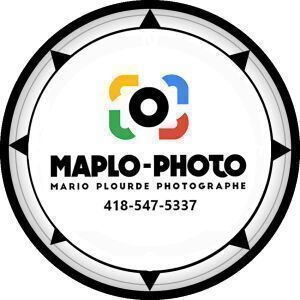 Avatar logo | Mario Plourde | Saguenay Canada | 360 3D VR tours