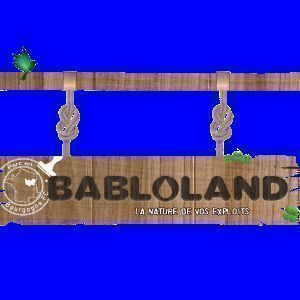 Avatar logo | Babloland La Nature De Vos Exploits |
                                                         Dijon |
                                                          |
                                                         Photographe visite virtuelle 360° 3D